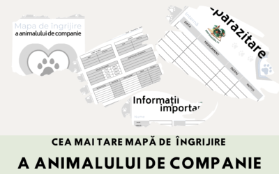 mapă de îngrijire a animalului de companie